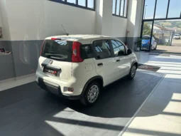 
										Fiat panda 1.0 Benzina/Hybrid 69CV E6 full									